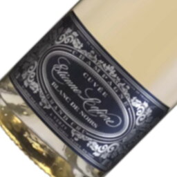 ブラン・ド・ノワール / エティエンヌ・ルフェーヴル [NV] スパークリングワイン フランス