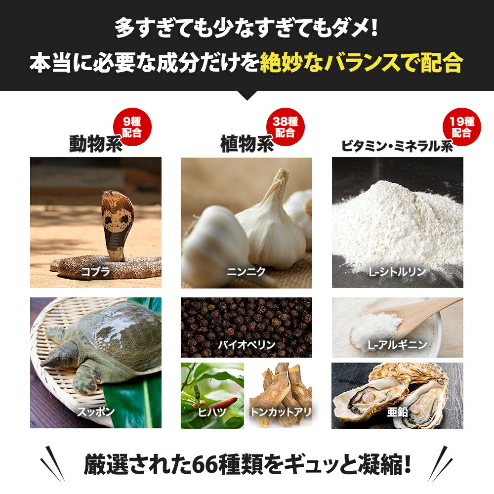 �ڥ����ѡ���������ָ���20��OFF�����ݥ�ͭ������祵�ץ� BRAVION S. �֥�ӥ��󥨥� �������� 5����ʬ ����̵�� �� �������祵�ץ���� ���ȥ��� �ȥ󥫥åȥ��� ���륮�˥� ���� ���ץ���� ���� �������� ���� ��󥺥��ץ�ڥ����ݥ��39,200�ߡ���