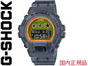 G-SHOCK G SHOCK GSHOCK ジーショック CASIO カシオ DW-6900LS-1JF 日本正規品 DW-6900 メンズ レディース 男 女 腕時計 Gショック プレゼント ギフト 3230 迷彩 CAMO 時計 お祝い 誕生日 クリスマス Color Skeleton Series カラー スケルトン シリーズ