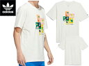 adidas SKATEBOARDING アディダス シュムーフォイル ペイント TEE HM9247 Tシャツ 半袖 カットソー L XL XXL 2XL マーク ゴンザレス ゴンズ 白T 白シャツ GONZ WHITE 手描き ホワイト スケートボーディング メール便