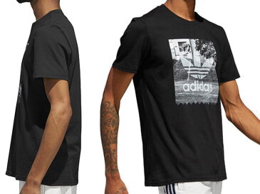 adidas SKATEBOARDING アディダス BB DENNIS PHOTO TEE CF3099 デニス フォト フォトT Tシャツ 三つ葉L O XO JAPAN SIZE 半袖 カットソー 胸LOGO トレフォイルロゴ スケートボーディング Originals オリジナルス メール便