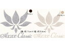 AXXE アックス CLASSIC クラシック ステッカー シール デッキ カッティング ロゴ サーフィン サーフ 真木蔵人 メール便対応 アックスクラシック