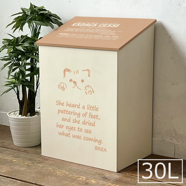 ゴミ箱 おしゃれ 蓋つき 木製 ダストボックス 30L用 ツートン ピンク 犬 猫 シリーズ 日本製 BREAブレア