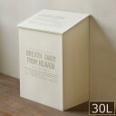ゴミ箱 おしゃれ 蓋つき 木製 ダストボックス 30L用 ホワイト 日本製 BREAブレア