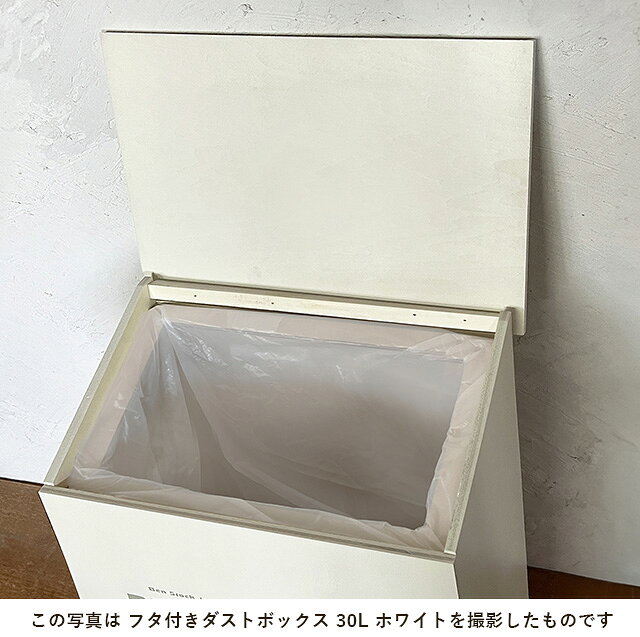 ゴミ箱 おしゃれ ダストボックス ふた付き 2色プリント 10L 分別 木製 BREAブレア