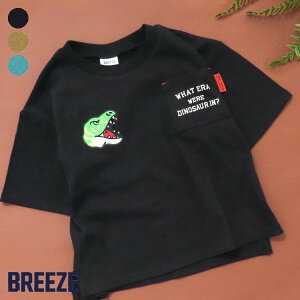 【CP】福井県立恐竜博物館コラボ恐竜クイズベトTシャツ ▽▽ 男の子 BREEZE ブリーズ 子供服 キッズ ベビー 半袖Tシャツ トップス 通学 夏 夏物 エフオー FO △△ j307743