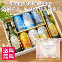 ギフト 宅飲みおつまみE セット 缶ビール 340ml × 6缶 柿の種と落花生×1個 ナッツ＆クラッカー×1個 A-13