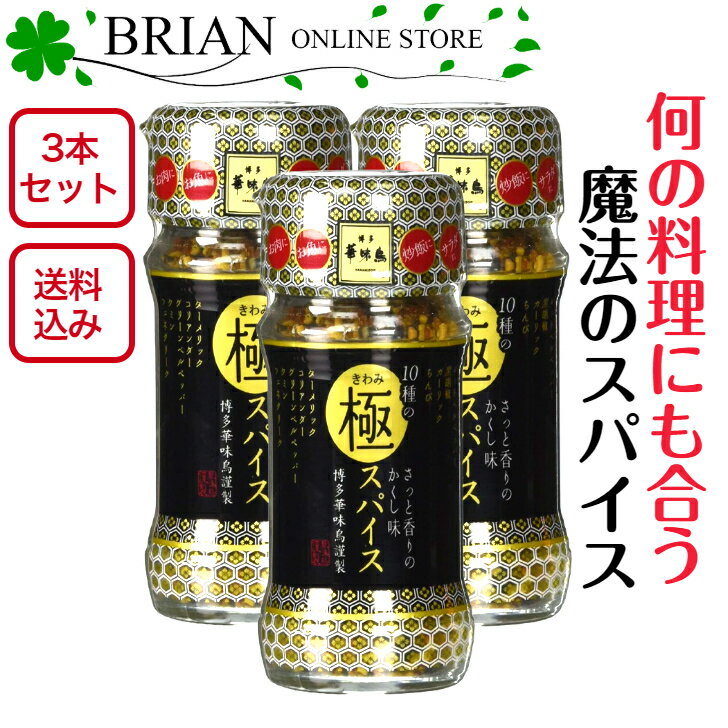 3本セット 博多華味鳥 10種の極スパイス 60g 何の料理にも合う魔法のスパイス 博多華味鳥監修 ローストチキン チキンソテー 焼き鳥など 鶏肉料理に合う やみつき 万能調味料