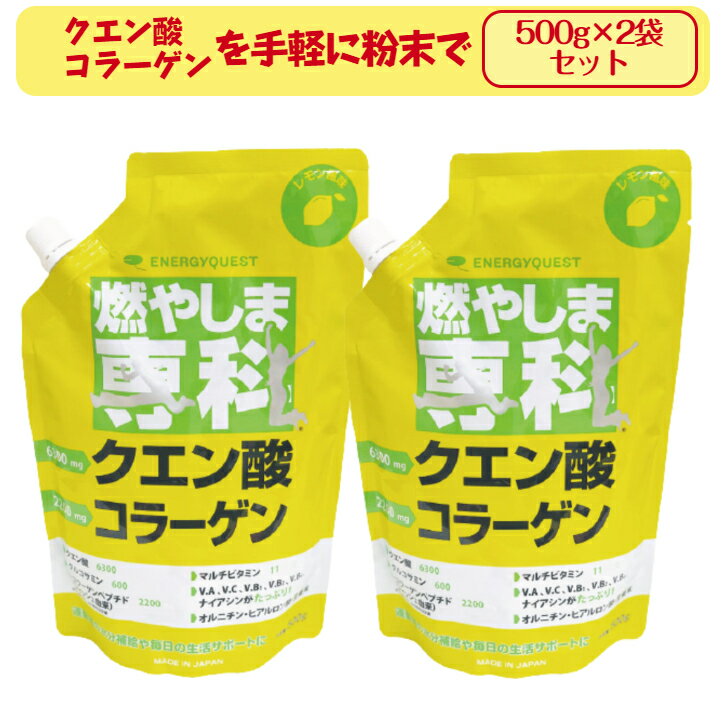 2袋セット 燃やしま専科 レモン風味 500g エナジークエスト スポーツドリンク 粉末 サプリメント ダイエット クエン酸 コラーゲン オルニチン ナイアシン パントテン酸