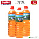 3本 セット 浅漬調味液 一夜の夢 1L 1000ml 竹林 タケバヤシ 浅漬けの素 漬け物 漬物 調味料 つけもの 漬物の素 漬物調味料