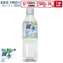 5年 保存 ミネラルウォーター カムイワッカ麗水 500ml 1箱 24本入 1箱 ( 24本 ) 2箱 ( 48本 ) 3箱 ( 72本 ) 4箱 ( 96本 ) 5箱 ( 120本 ) 6箱 ( 144本 ) 7箱 ( 168本 ) 8箱 ( 192本 ) セット 長期保存水 災害用 備蓄用 非常用 水 非常水 備蓄水 送料無料