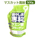 燃やしま専科 マスカット風味 500g エナジークエスト スポーツドリンク 粉末 サプリメント ダイエット クエン酸 コラーゲン オルニチン ナイアシン パントテン酸