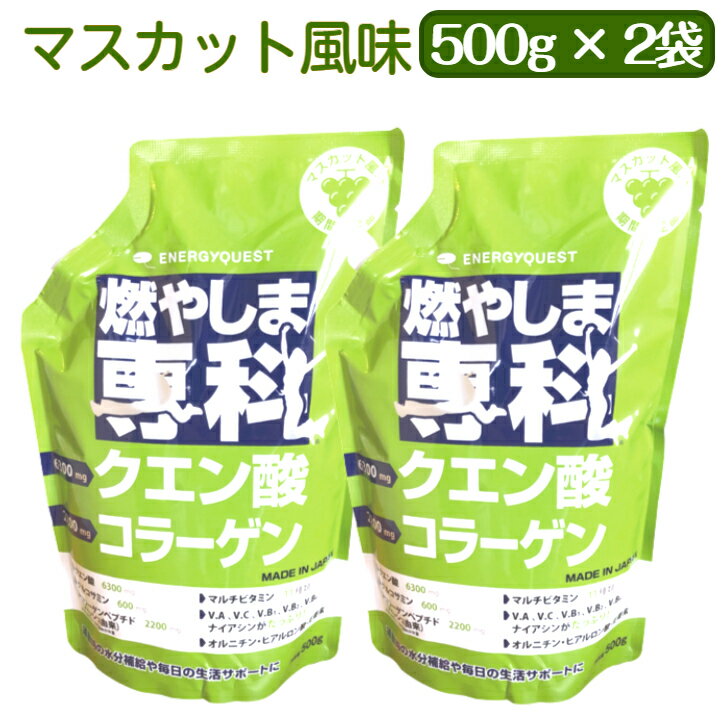 【2個セット】 燃やしま専科 マスカット風味 500g エナジークエスト スポーツドリンク 粉末 サプリメント ダイエット クエン酸 コラーゲン オルニチン ナイアシン パントテン酸