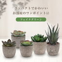 【10％ポイントバック中】 5点セッ