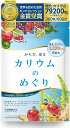 【医師監修】 サプリ カリウムのめぐり 360粒 塩化カリウム 1袋79200mg 60日分 6粒1320mg カリウム サプリ ヨウ素 食物酵素 ポリフェノール メリロート ヒハツ 栄養機能食品 医師監修 カリウム サプリ