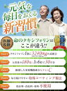 brian:10001122のサンプル画像2