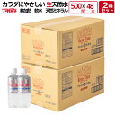 リセットタイム 500ml×48本 (24本入× 2箱) 4箱 (96本) 6箱 (144本) 8箱 (192本) 10箱(240本) ResetTime 7年 保存 硝酸態窒素ゼロ アルカリ 生天然水 ナチュラル ミネラルウォーター 長期 保存水 災害用水 備蓄水 備蓄 備蓄用 water 水 ペットボル 500ml