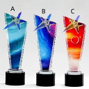 【文字彫刻無料】トロフィー ゴルフトロフィー オーダーメイド エイジシュート トロフィー 送料無料 trophy とろふぃー【名入れ】父の日 ポイントアップ祭