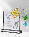 【送料無料】【文字彫刻無料】トロフィー ゴルフトロフィー オーダーメイド エイジシュート トロフィー trophy とろふぃー【名入れ】父の日 ポイントアップ祭