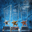 【送料無料】トロフィー トロフィーメダル セット 優勝カップ ウイナーズカップ 優勝杯 大会記念 ゴルフコンペ スポーツ大会 記念品 オリジナルトロフィー tr...