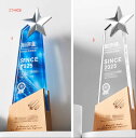 クリスタル トロフィー ゴルフコンペ 優勝杯 クリスタルトロフィー フルカラー印刷 エージシュート ホールインワン記念 に!!ゴルフトロフィー オーダーメイド ...
