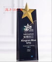 クリスタル トロフィー ゴルフコンペ 優勝杯 クリスタルトロフィー フルカラー印刷 エージシュート ホールインワン記念 に!!ゴルフトロフィー オーダーメイド ...