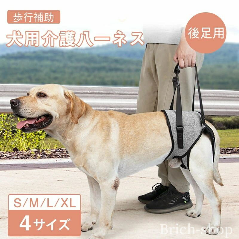 ̵Ĵǽ եȥݡȥϡͥ ­ ѥϡͥ Ϸ ڥå ⤱ʤ  Ϸϡͥ ϡͥ Ϸ