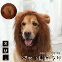 【送料無料】誕生日 クリスマス コスプレ 中型犬 大型犬 キャップ ウィッグ おもしろい 変装グッズ ペット服 耳付き 道具 犬用 コスチューム