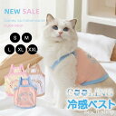 【送料無料】ペット服 猫 ドッグウェア 犬服夏 チワワ ダックス トイプードル 着せやすい プチプラ 中型犬 小型犬 秋冬 春夏 タンクトップ ツ