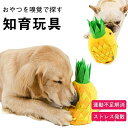 【送料無料】犬猫兼用 お留守番 集中力向上 遊び場所 嗅覚活用 餌マット 鼻づまり ストレス解消 運動不足 ゲーム おやつおもちゃ 訓練毛布 ル