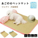 【送料無料】いちご かわいい 枕付き 涼しい席 清潔簡単 撥水 藤編み 滑り止め 洗える 熱中症防止 暑さ対策 通気性 ペットマット 犬猫用 ット