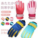 【送料無料】ダークブルー ピンク ライトブルー レッド ブルー ホワイト スノーボードグッズ 雪用防寒手袋 防寒グローブ