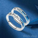 【送料無料】結婚指輪 婚約指輪 メンズ レディース 人気 カップル ペア フリーサイズ 2個セット ペア シルバー925