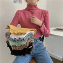 【送料無料】重ね着 秋冬 カラバリー レイヤード コーデ インナー 長袖 レディース プチハイネック 微起毛 秋冬 カットソー(4)