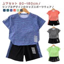 【送料無料】140 130 120 110 夏 90 小学生 幼児 子ども 幼稚園 保育園 スポーツウェア かわいい 100 男の子 キッズ ジュニア ハーフパ...