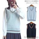【送料無料】春 薄手 女の子 男の子 通学 高校生 中学生 大きいサイズ ライン入り Vネック 配色ライン ボーダー 入学式 卒業式 秋冬 制服 生(4)