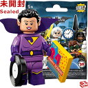 71020 LEGO レゴ バットマン ザ・ムービー ミニフィギュアシリーズ 2 ワンダーツインズ・ジャイナ ｜The LEGO Batman Movie Series 2 Wonder Twin Jayna 【71020-13】