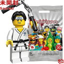 71027-10 レゴ LEGO ミニフィギュア シリーズ20 武闘家｜LEGO Minifigures Series20 Martial Arts Boy