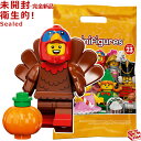 71034-9 レゴ LEGO ミニフィギュア シリーズ23 七面鳥コスチューム ｜LEGO Minifigures Series23 Turkey Costume