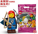 71037-5 レゴ LEGO ミニフィギュア シリーズ24 鷹匠｜LEGO Minifigures Series24 Falconer