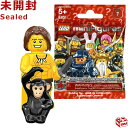 8831 LEGO レゴ ミニフィギュア シリー