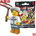 8833 LEGO レゴ ミニフィギュア シリーズ8 カウガール｜LEGO Minifigures Series8 Cowgirl 【8833-4】