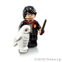 レゴ ハリーポッター＆ファンタスティック・ビーストシリーズ ミニフィグ ローブを着たハリー・ポッター | LEGO 人形 魔法 ミニフィギュア ファンタビ