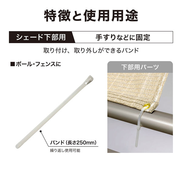 �ڥ᡼���زġۥ������硼 ���褱��� �������ɼ��� �Х�� 10���� CLF-11 ���󥷥����� ���� ���