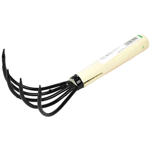 ƣ������ ��� Ǧ�ԥ��ޥ� 5�ۥ�ĥ�