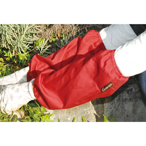 �ڥ᡼���زġ�ƣ������ ���եƥ���3 �����ǥ��ӥ��С� RE ��å�