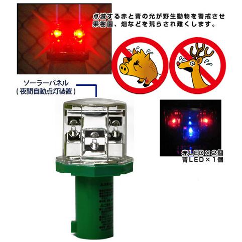 ミツギロン 赤青LED アニマルパンチ EG-58