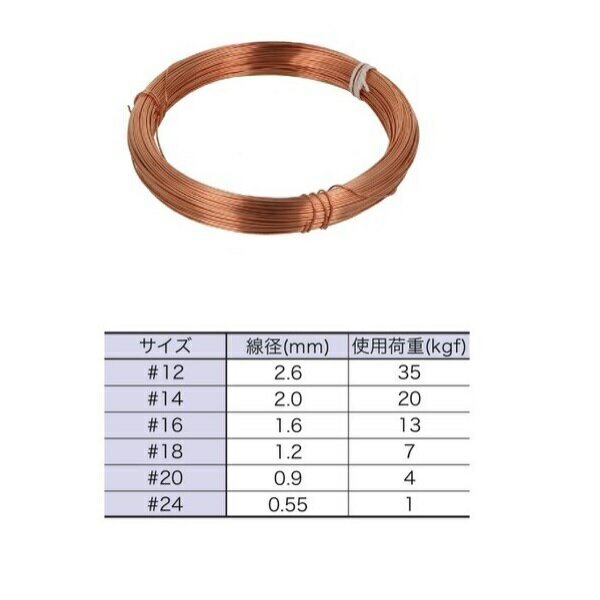 �ڥ᡼��������̵����ȬȨ�ͤ� Ƽ�˶� ��20��90m