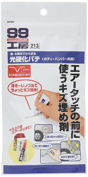 【メール便可】SOFT99 ソフト99 光硬化パテ ボディ・バンパー共用 12g No.09213