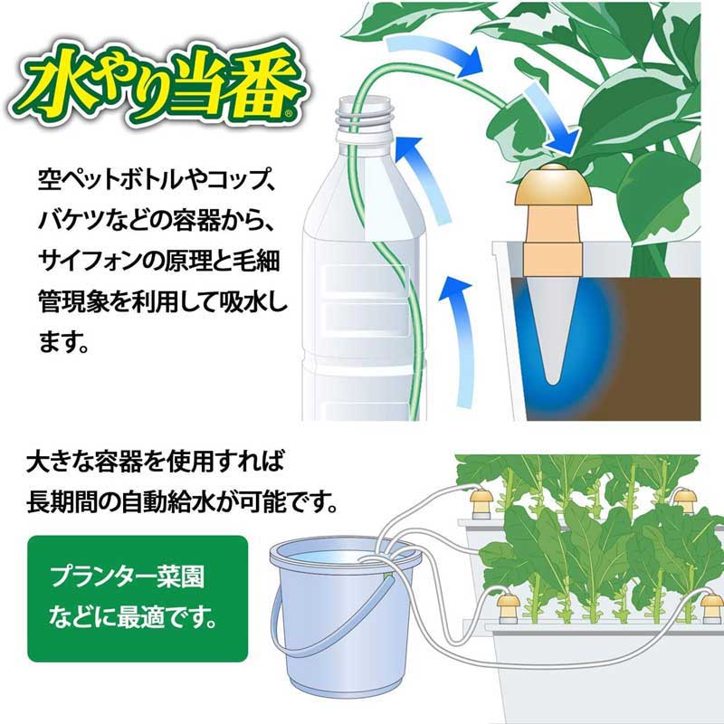 マルハチ産業 水やり当番 Mサイズ 2個入